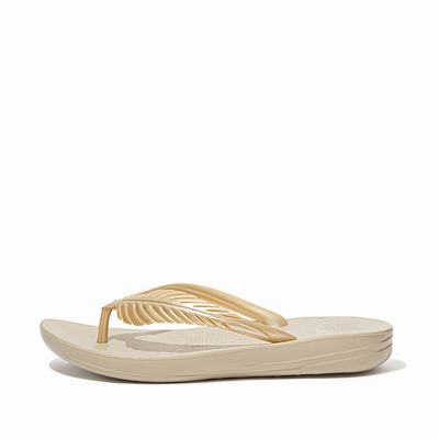 Fitflop Iqushion Feather Flip Flops Dame, Brune/Gull 859-C03